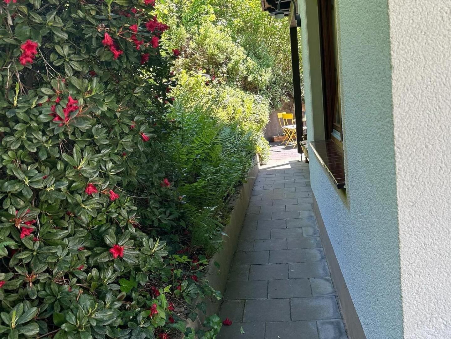 Ferienwohnung Sonneck Altenahr Exteriör bild